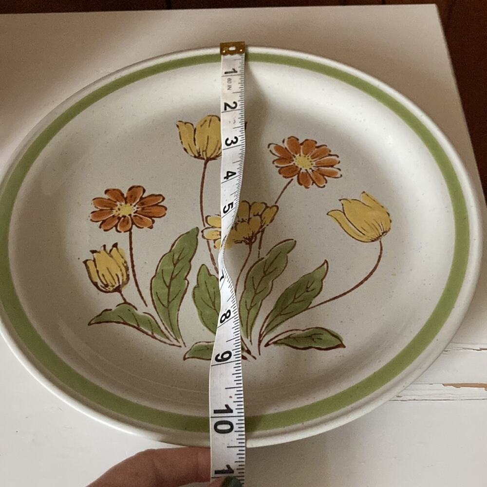 Vintage Country Casual “Sunnyvale” Dinner Plates, Set of 2 - Picture 10 of 10